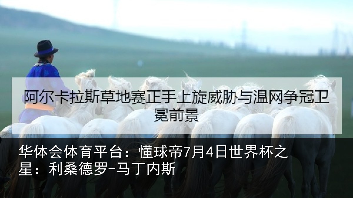 华体会体育平台：懂球相关情况：利桑德罗-马丁内斯