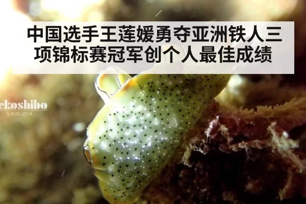 中国选手王莲媛勇夺亚洲铁人三项锦标赛冠军创个人最佳成绩